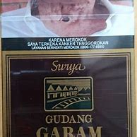 Surya 16 Coklat Harga